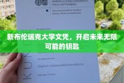 解锁未来，新布伦瑞克大学文凭，成就无限梦想的通行证