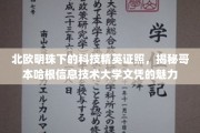 解码哥本哈根IT大学，北欧科技明珠的学术通行证魅力揭秘