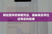斯旺西学府学位证之谜，探寻荣耀凭证背后的传奇故事