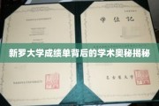 解码新罗大学成绩单，探寻学术成就的深层秘密