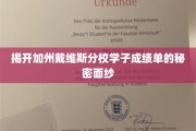 解码戴维斯精英学子成绩单背后的独特奥秘