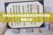 解码加州北岭分校，揭秘隐藏在成绩单中的学术秘密