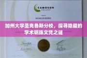 解码圣克鲁斯，揭秘加州大学的隐藏学术瑰宝