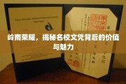 岭南名校之光，探究文凭背后的非凡价值与独特魅力