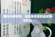 解码鹿特丹商学院，国际商学教育的璀璨成就