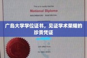 学术荣耀的象征，广岛大学学位证书的尊贵印记
