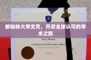 跨越国界，都柏林大学文凭引领国际学术新篇章