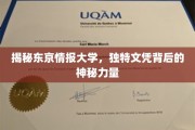 解码东京情报大学，独特文凭背后的神秘魅力
