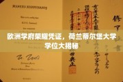 荷兰蒂尔堡大学学位，解锁欧洲顶尖学府的荣耀钥匙