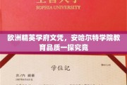 探寻欧洲精英学府，安哈尔特学院教育魅力全解析