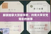 揭开约克大学卓越文凭的神秘面纱