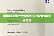 解码新英格兰大学学位证的非凡价值