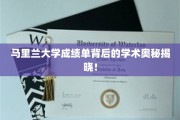 探秘马里兰大学成绩单，揭示学术成就的秘密面纱
