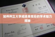 解码加州州立大学，成绩单中的学术风采探秘