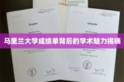 解码马里兰大学成绩单，探寻学术卓越的秘密花园