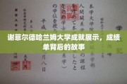 解码谢菲尔德哈兰姆大学辉煌瞬间，背后的精彩故事揭晓