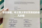 布兰登文凭之光，揭开高学历的隐藏魅力与无限可能