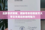 北欧学府荣耀，揭秘哥本哈根城市大学文凭背后的独特魅力