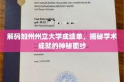 加州州立大学成绩单解码，揭开学术荣耀的隐藏密码