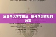 尼皮辛大学学位证，探寻学历背后的传奇篇章