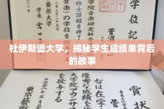 揭开杜伊斯堡大学成绩单背后的真实画像