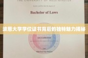 波恩大学学位证书，探寻背后的非凡魅力与故事