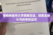 都柏林城大荣耀加冕，解锁国际通行学历证书的全球之旅