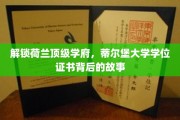 荷兰精英学府探秘，蒂尔堡大学学位证书的传奇历程