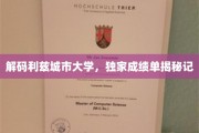 解码利兹城市大学，独家成绩单揭秘记