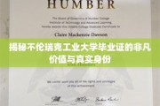 解锁不伦瑞克工业大学文凭的神秘魅力与深层价值