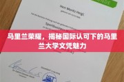 解码马里兰荣耀，国际认可下的顶尖大学文凭之谜