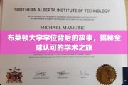 探寻布莱顿大学学位背后的传奇，跨越全球的学术之旅揭秘