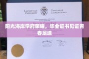 青春足迹闪耀阳光海岸，学府荣耀证书见证辉煌篇章