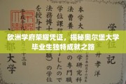 奥尔堡大学骄子，探寻欧洲学府精英的成长轨迹
