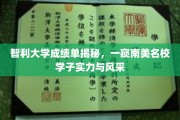 智利大学成绩单揭秘，一窥南美名校学子实力与风采