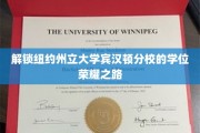 探索宾汉顿分校学位成就的神秘征途