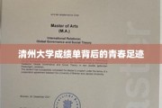 青春足迹下的清州大学成绩单秘密揭晓