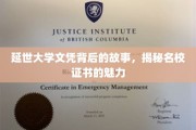 延世大学文凭，探寻名校背后的荣耀与梦想