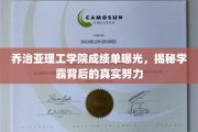 揭秘乔治亚理工学院学霸，成绩单背后隐藏的努力真相