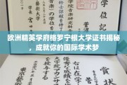 解码格罗宁根，探索欧洲顶尖学府的学术辉煌之路