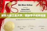 探索大阪工业大学，学子成就背后的非凡历程