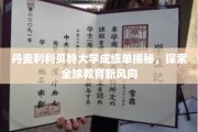 解码利利贝特，全球教育先锋丹麦大学的成绩单洞察