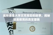 探寻威斯康星大学文凭背后的奥秘，精英教育的真实面纱