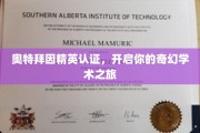 穿越奥特拜因，解锁非凡学术秘境