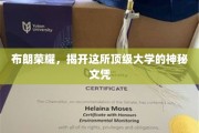 探寻布朗大学神秘文凭背后的荣耀之谜