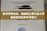 探寻荷兰蒂尔堡大学，成绩单下的学术星光璀璨