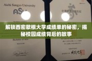 揭开西密歇根大学成绩单的神秘面纱，探寻校园成绩背后的真实故事