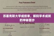 解码苏塞克斯荣耀，揭秘学术成就背后的神秘成绩单