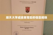 解锁顺天大学成绩单背后的隐藏秘密