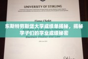东斯特劳斯堡大学成绩单揭秘，揭秘学子们的学业成绩秘密